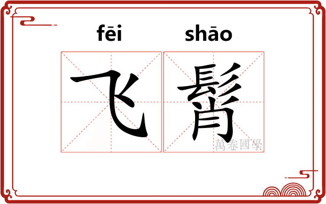 飞髾