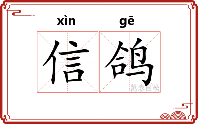信鸽 信鸽