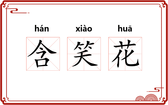 含笑花