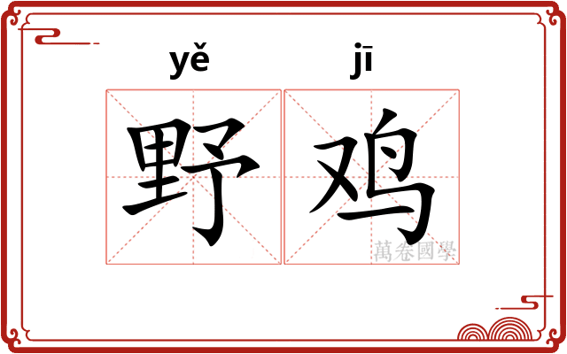 野鸡