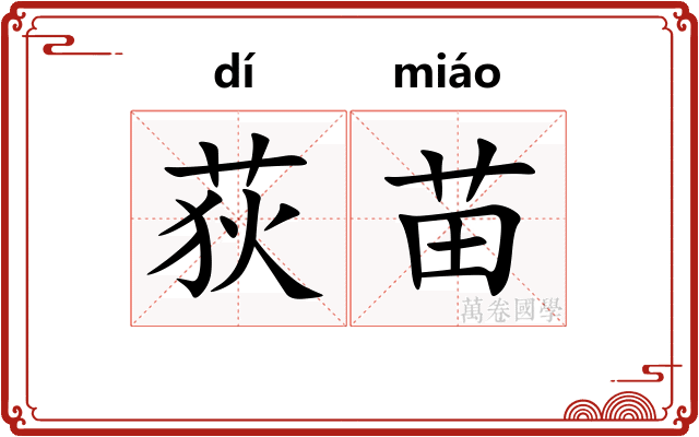 荻苗