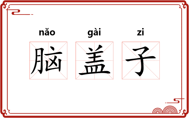 脑盖子