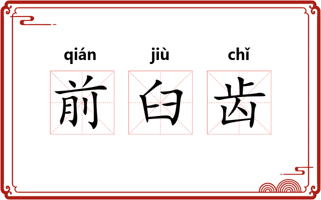 前臼齿