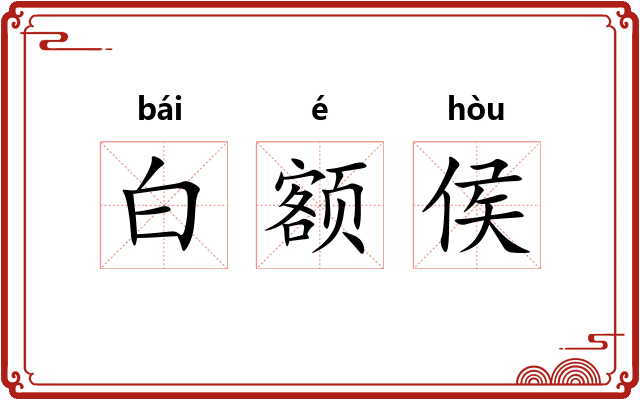 白额侯