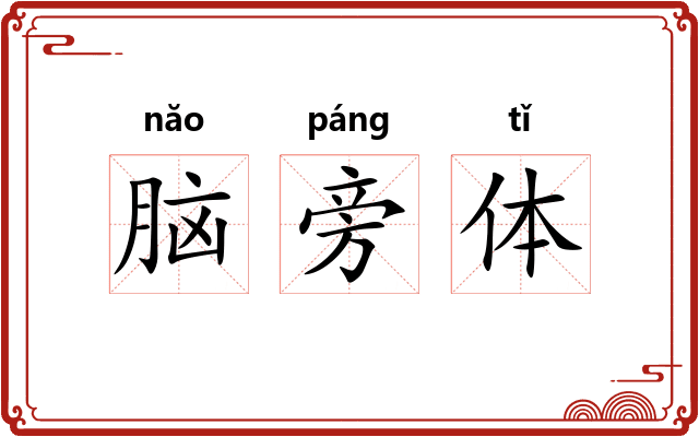 脑旁体 脑旁体