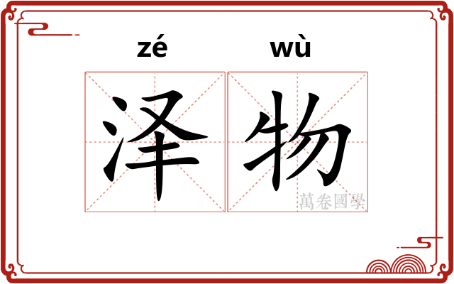 泽物