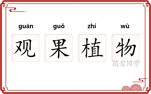 观果植物