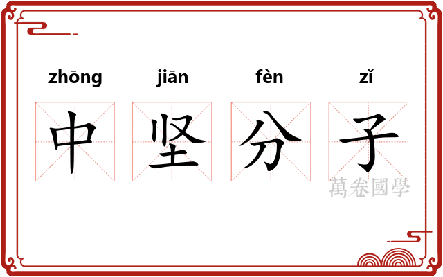 中坚分子