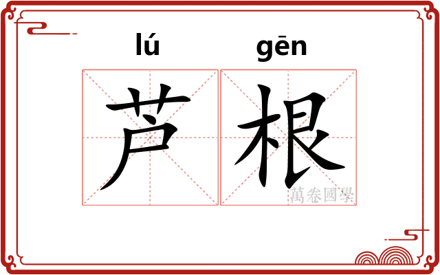 芦根