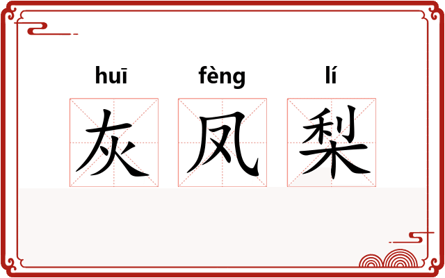 灰凤梨