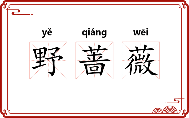 野蔷薇