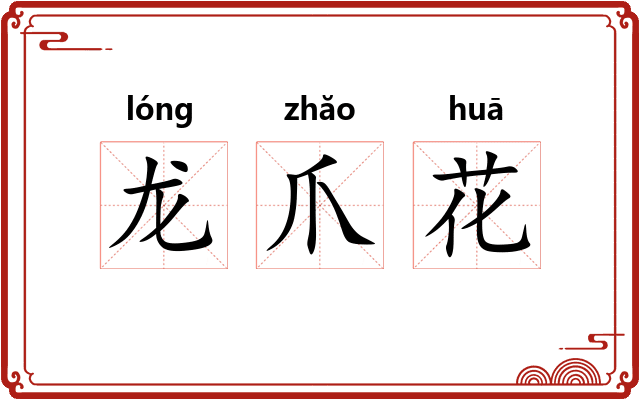 龙爪花