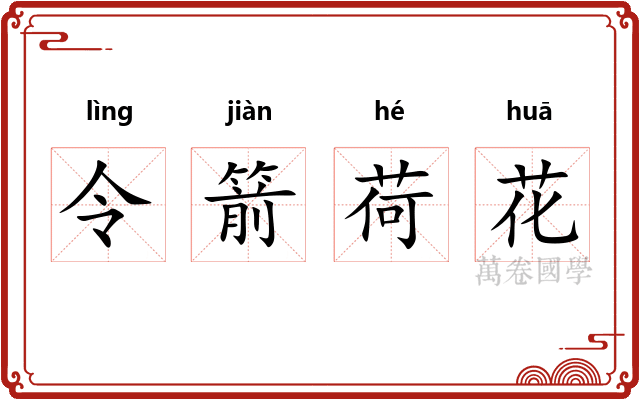 令箭荷花