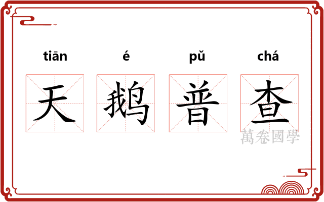 天鹅普查 天鹅普查