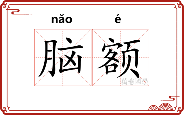 脑额