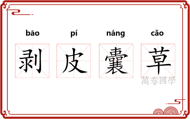 剥皮囊草