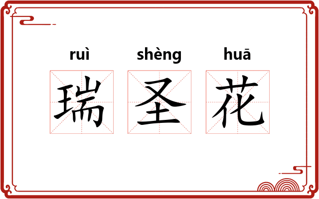 瑞圣花 瑞圣花