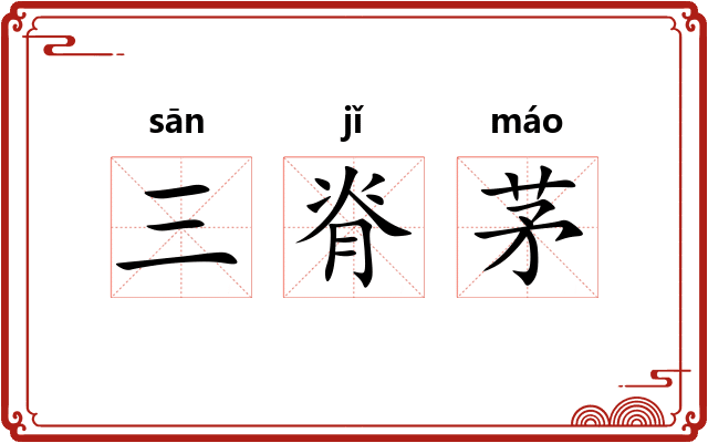 三脊茅
