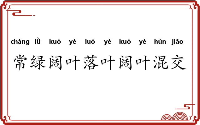 常绿阔叶落叶阔叶混交林 常绿阔叶落叶阔叶混交林