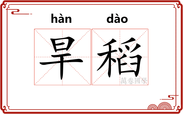 旱稻