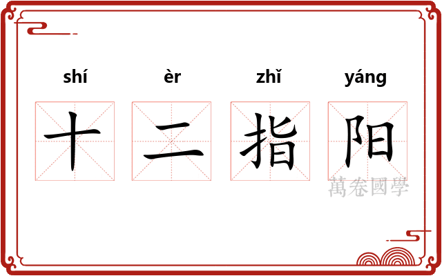 十二指阳