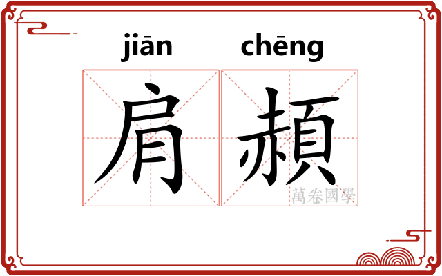 肩頳