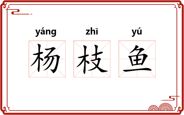 杨枝鱼