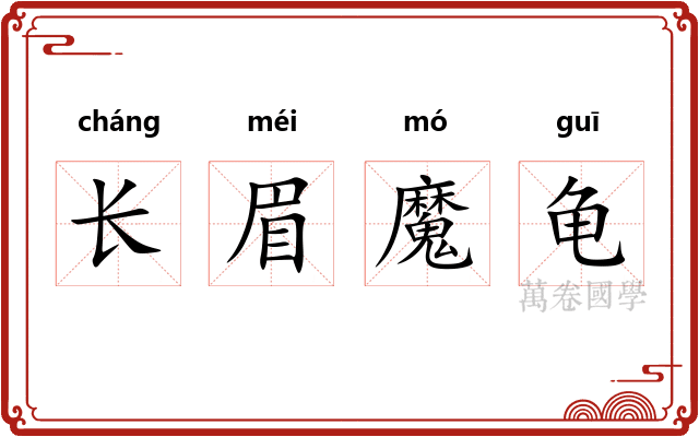 长眉魔龟