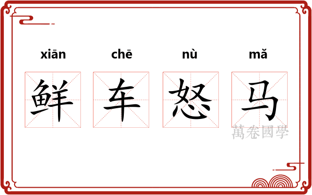 鲜车怒马