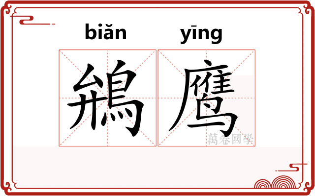 鴘鹰