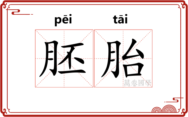 胚胎