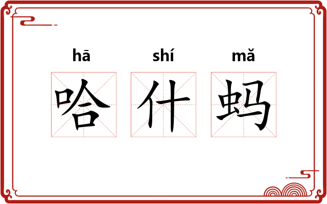 哈什蚂