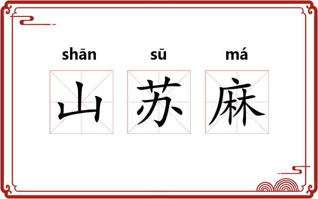 山苏麻