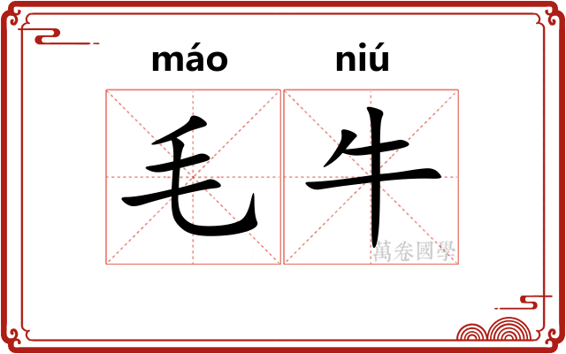 毛牛