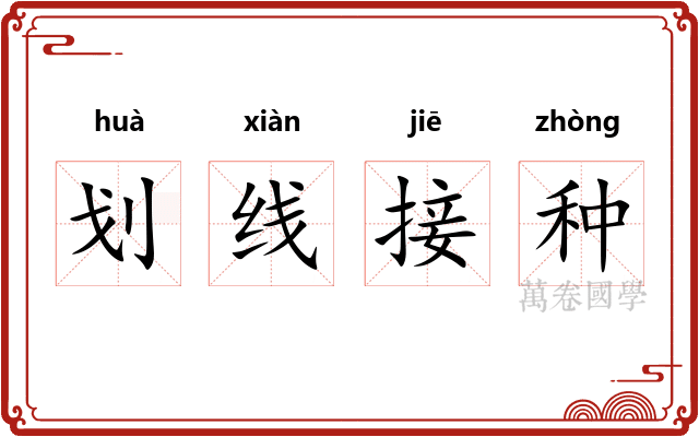 划线接种