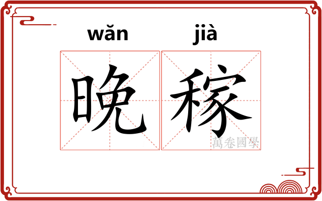 晚稼