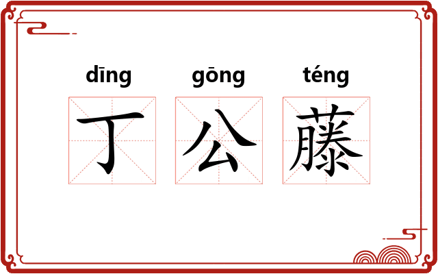 丁公藤