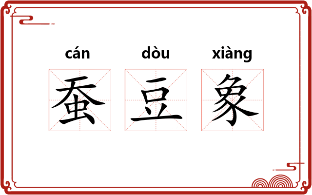 蚕豆象