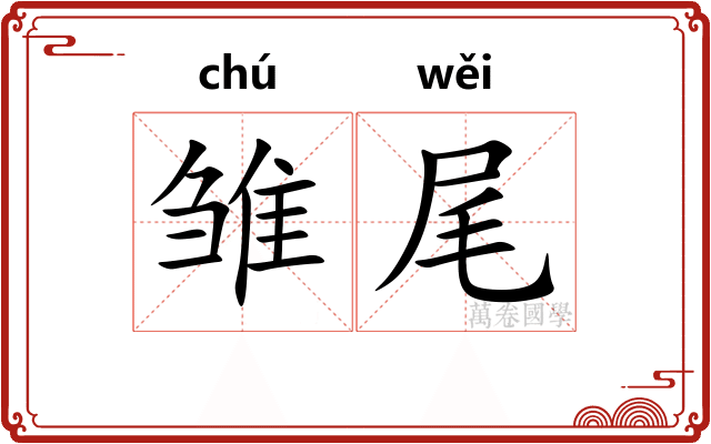 雏尾