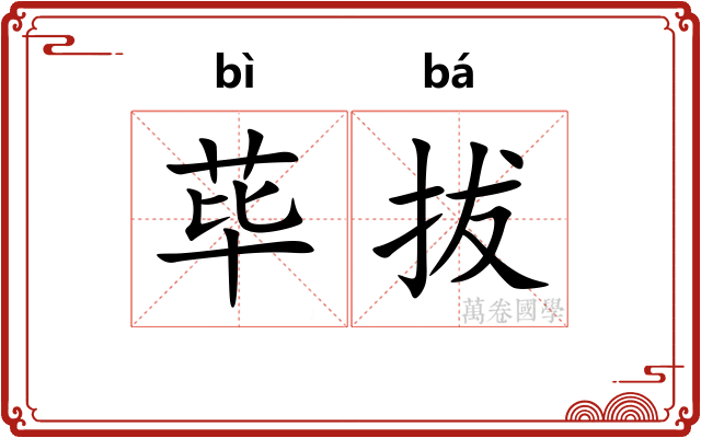 荜拔