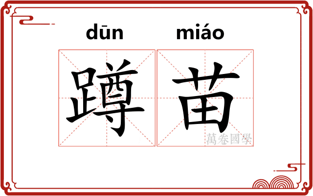 蹲苗