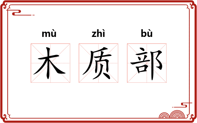木质部