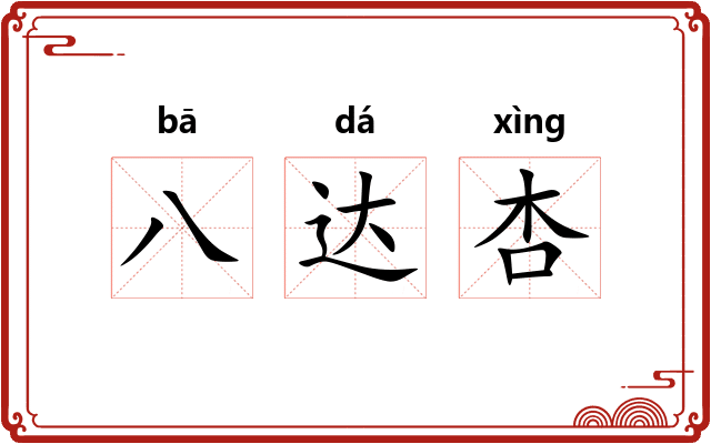 八达杏