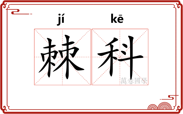 棘科