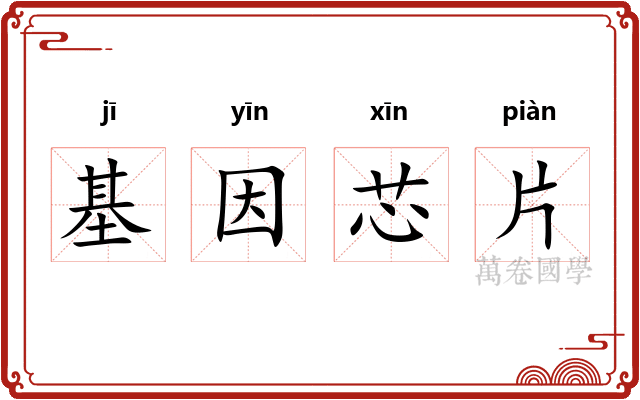 基因芯片