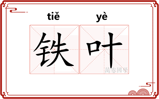 铁叶