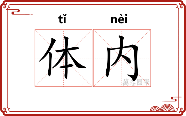 体内
