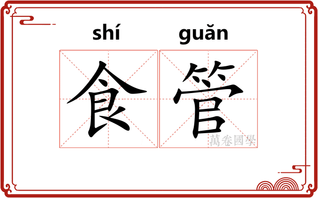 食管