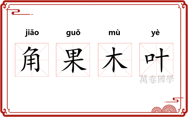 角果木叶 角果木叶