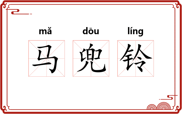 马兜铃